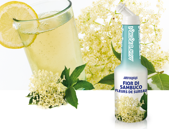 Elderflower
